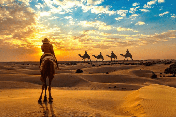 Day 3: Dubai | Desert Safari with BBQ Dinner and Tanoura Show