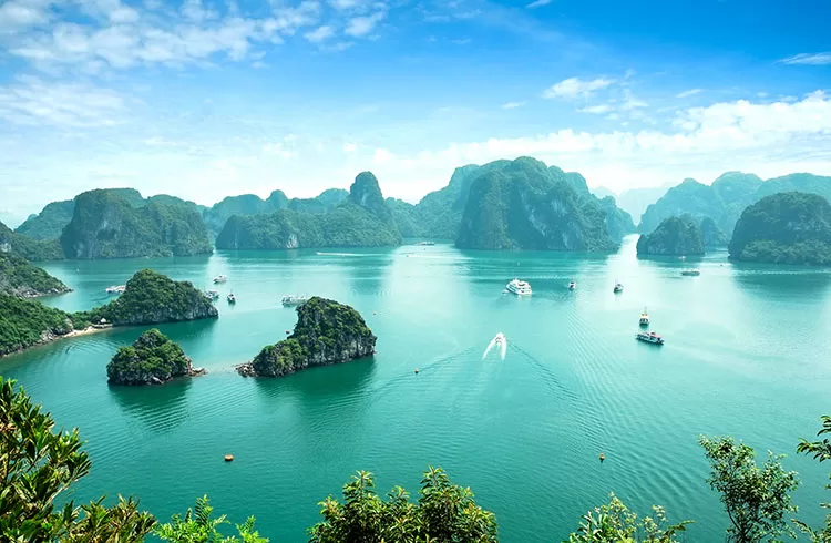 Day 3 Hanoi to Halong Bay | Witness the beauty of the surreal archipelagos